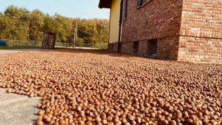 Prvni den nasi cesty za uzasnymi orisky a predevsim viny je za nami. Bylo to narocne, ale povedene. #piedmont...