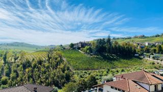 Zitra rano se vratime po roce opet do Piedmontu na dalsi winetour, kterou organizujeme, jako narozeninovy vyjezd k...